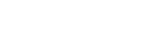 logo BOSDOLAR